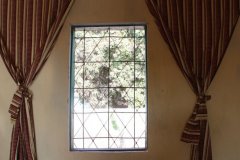 IMG_0502