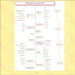 12_RL_Kinderschutz